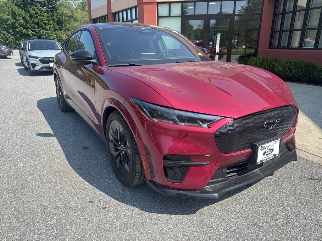 2025 Ford Mustang Mach-E GT - Photo 9