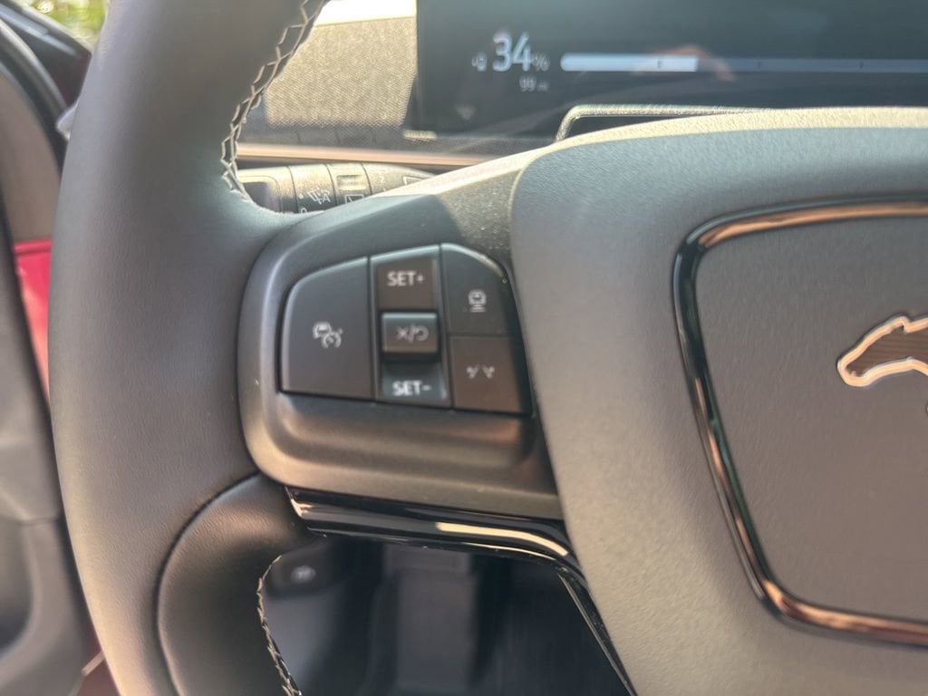 2025 Ford Mustang Mach-E GT - Photo 29