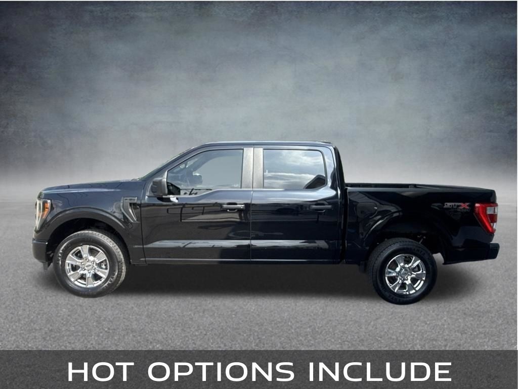 Used 2023 Ford F-150 XL Truck