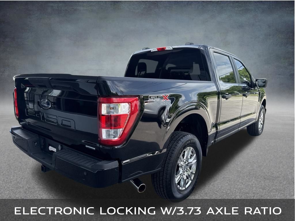 2023 Ford F-150 XL - Photo 6