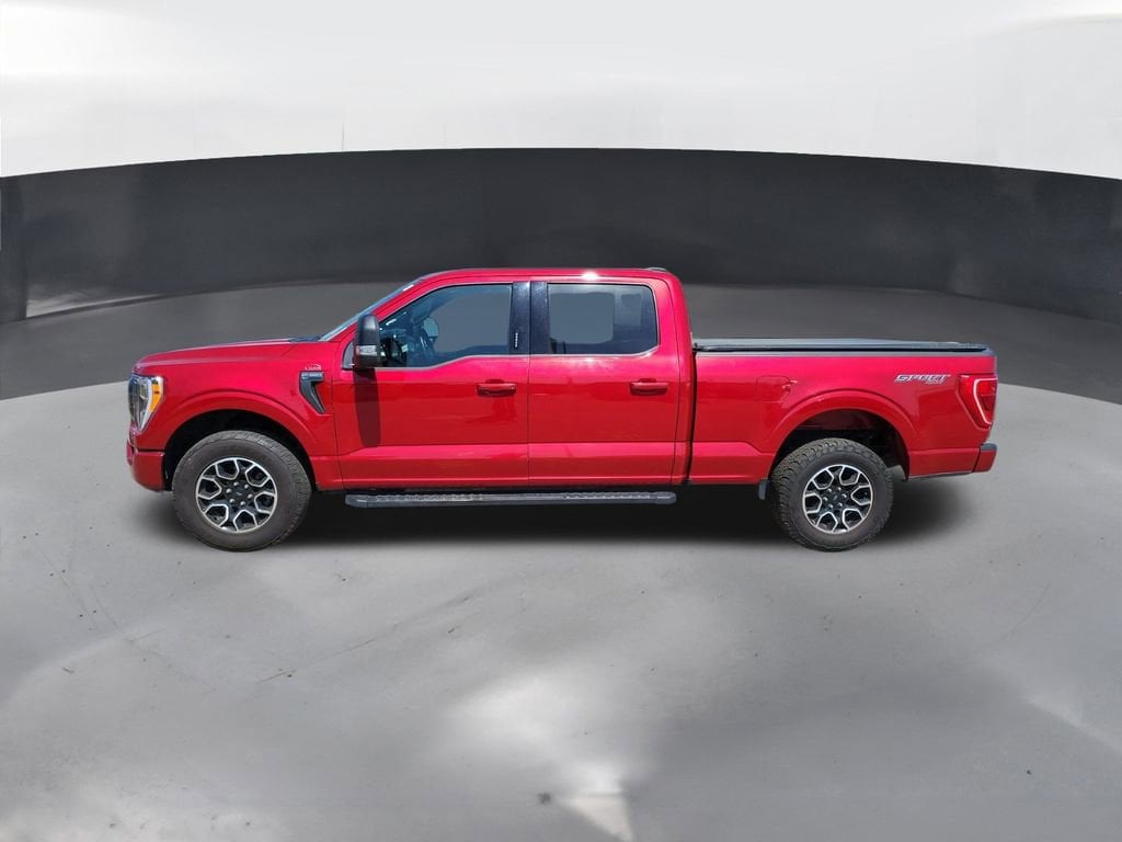 Used 2022 Ford F-150 XL with VIN 1FTFW1E89NKD46301 for sale in Thornton, CO