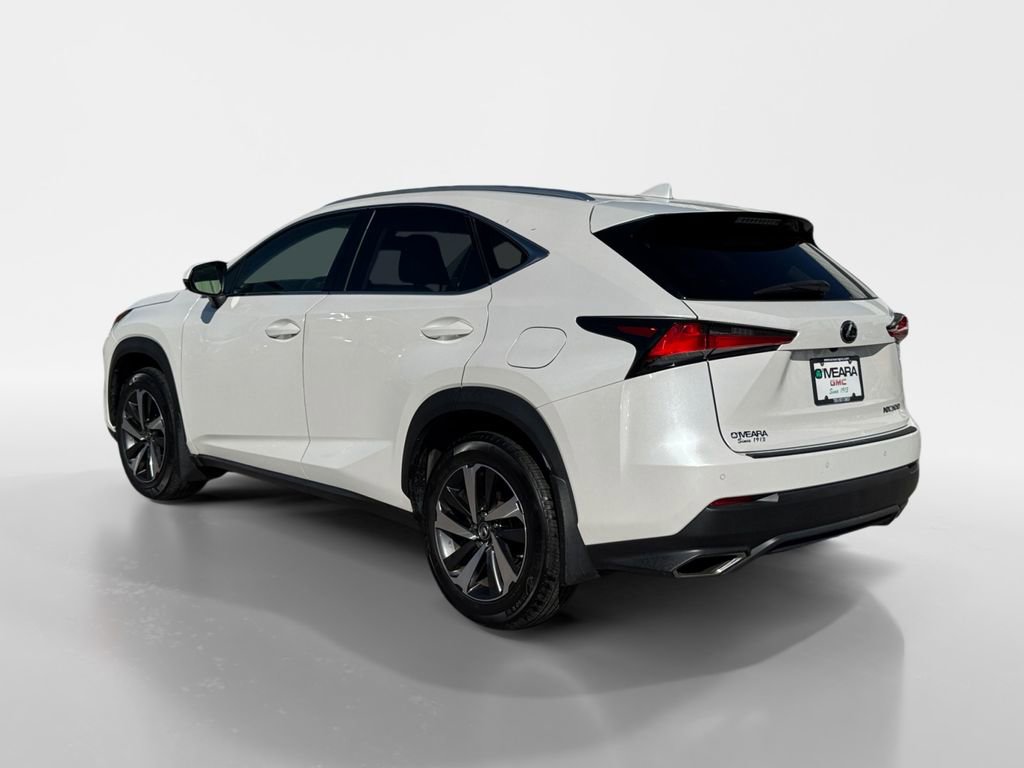 2019 Lexus NX 300 Luxury photo 3