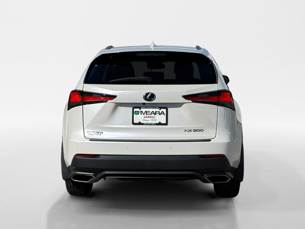2019 Lexus NX 300 Luxury photo 4