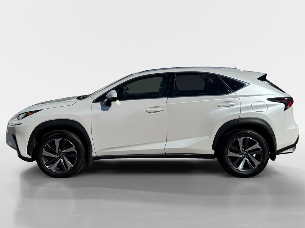 2019 Lexus NX 300 Luxury photo 2