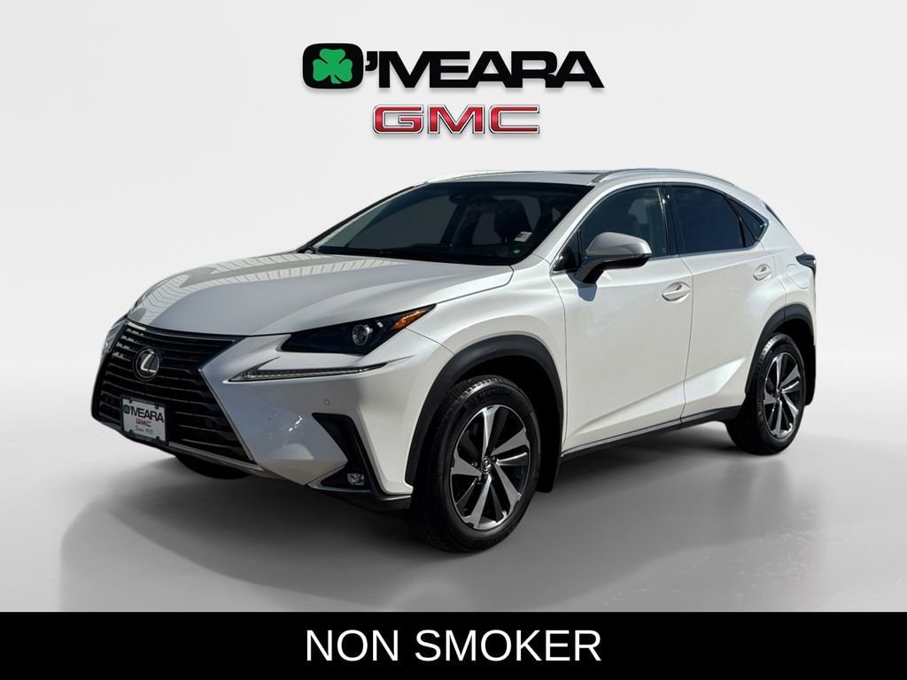 2019 Lexus NX