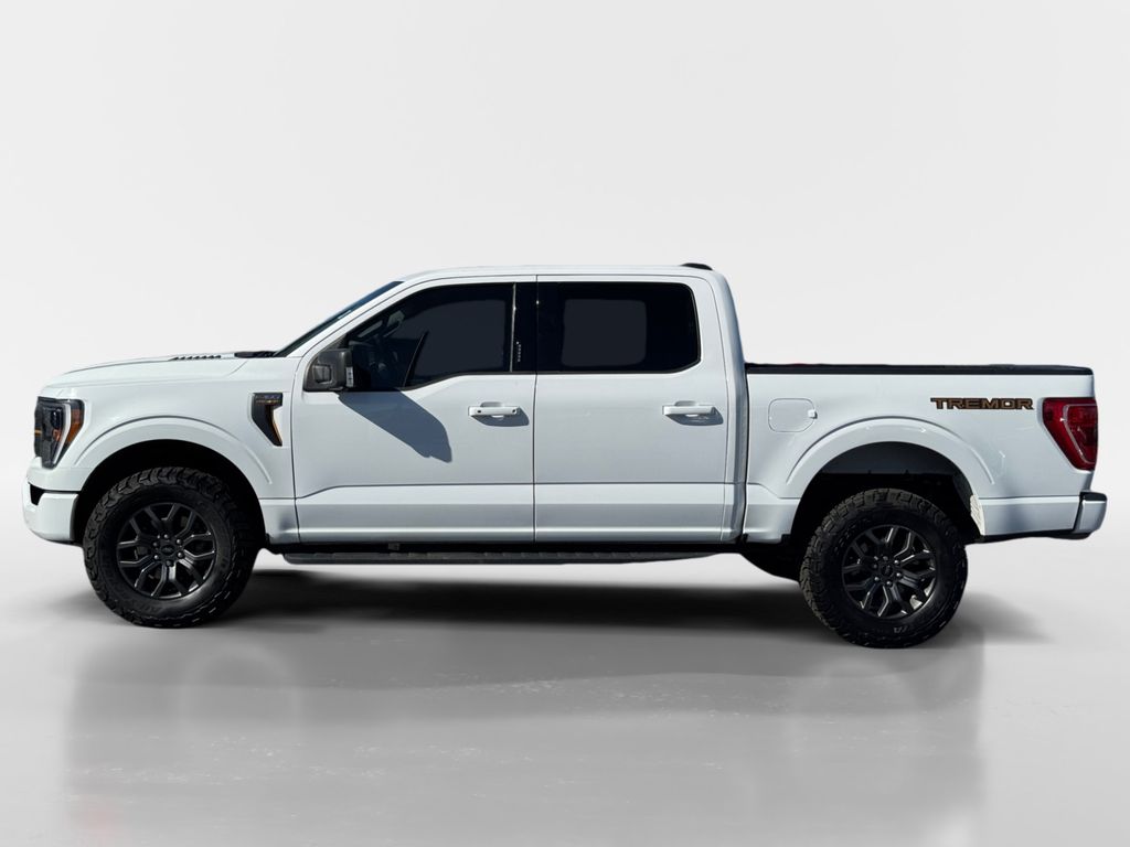 2022 Ford F-150 Tremor photo 2