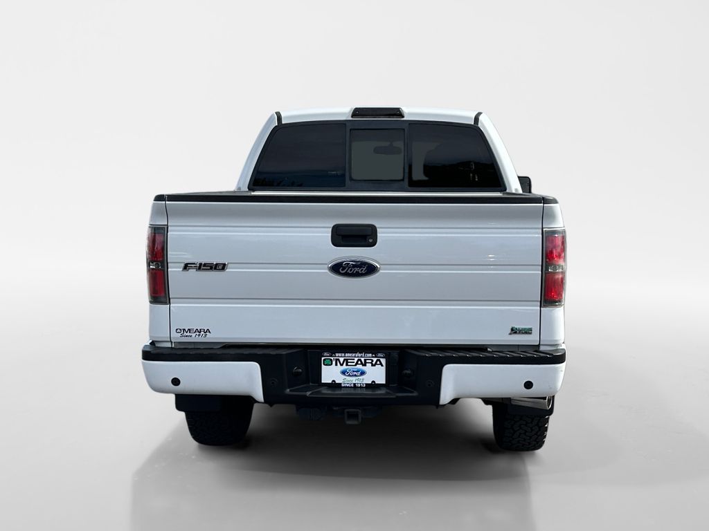2010 Ford F-150 FX4 photo 4