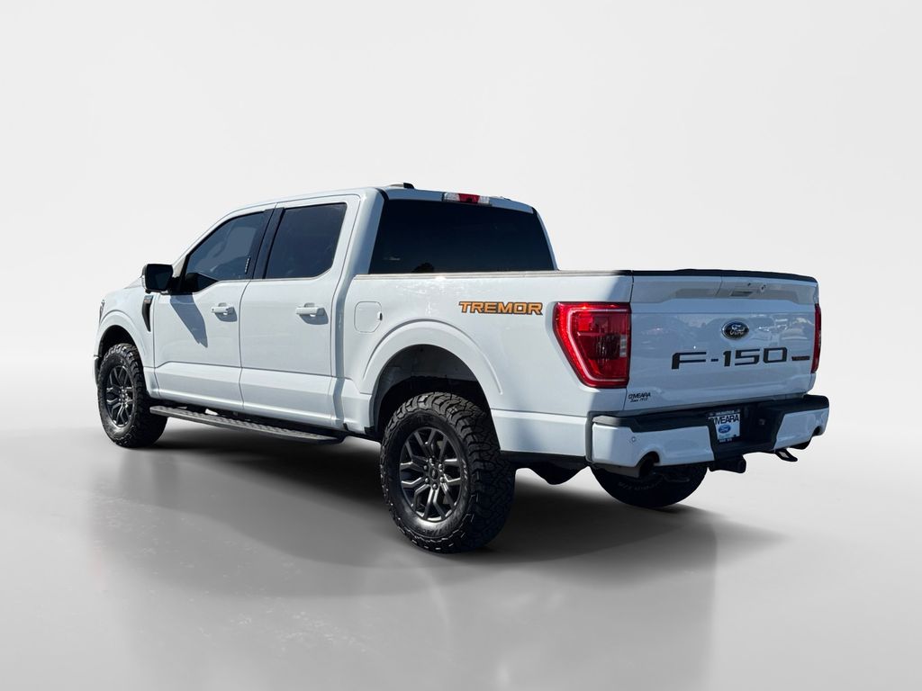 2022 Ford F-150 Tremor photo 3