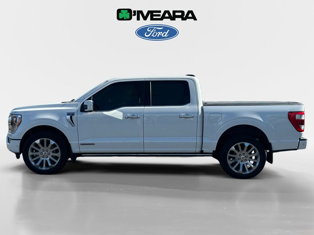 Used 2022 Ford F-150 Limited with VIN 1FTFW1ED6NFB55232 for sale in Northglenn, CO