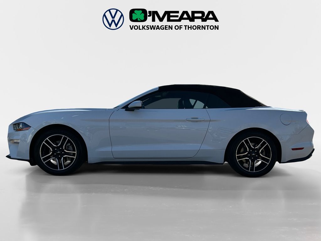 Used 2023 Ford Mustang EcoBoost Premium with VIN 1FATP8UHXP5103436 for sale in Thornton, CO