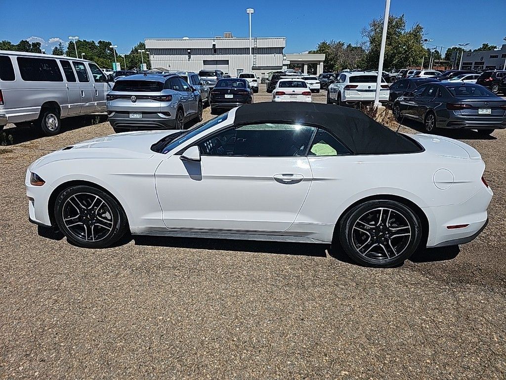 Used 2023 Ford Mustang EcoBoost with VIN 1FATP8UH6P5100467 for sale in Thornton, CO