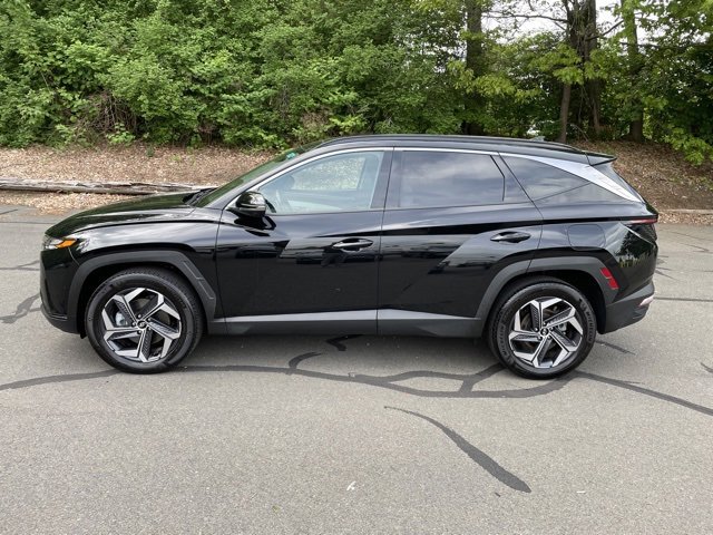 2024 Hyundai Tucson Hybrid Limited photo 2