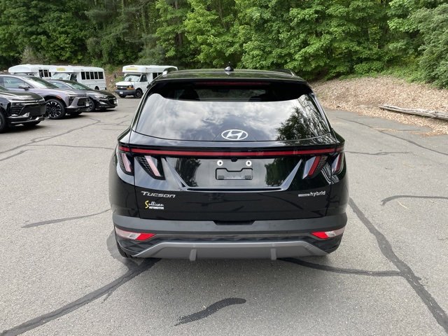 2024 Hyundai Tucson Hybrid Limited photo 4