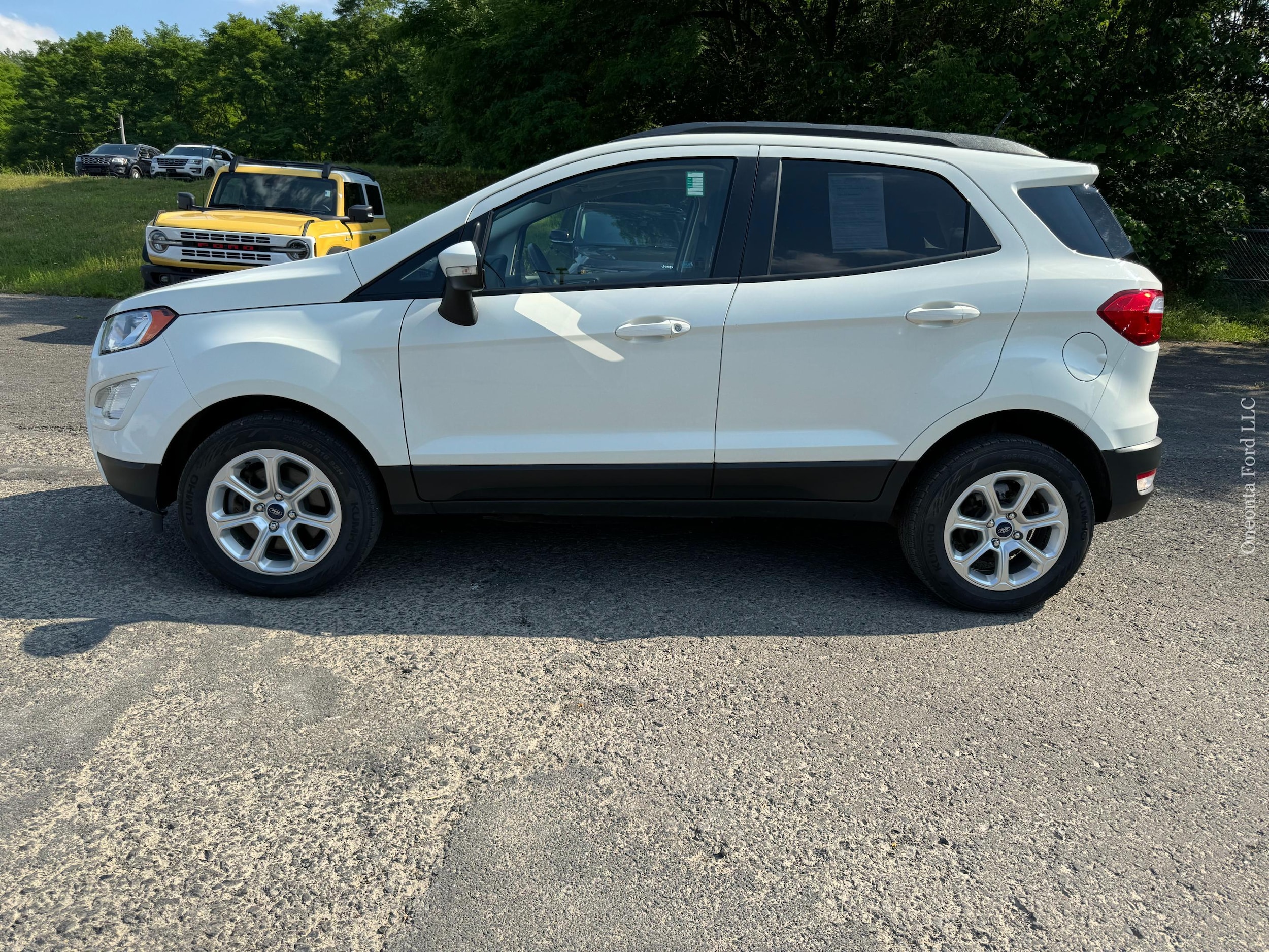 Used 2019 Ford Ecosport SE with VIN MAJ6S3GLXKC296741 for sale in Oneonta, NY