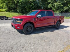 New 2025 Ford F-150 STX TRUCK for Sale in Oneonta NY