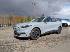 New 2025 Ford Mustang Mach-E Premium CROSSOVERS for Sale in Oneonta NY