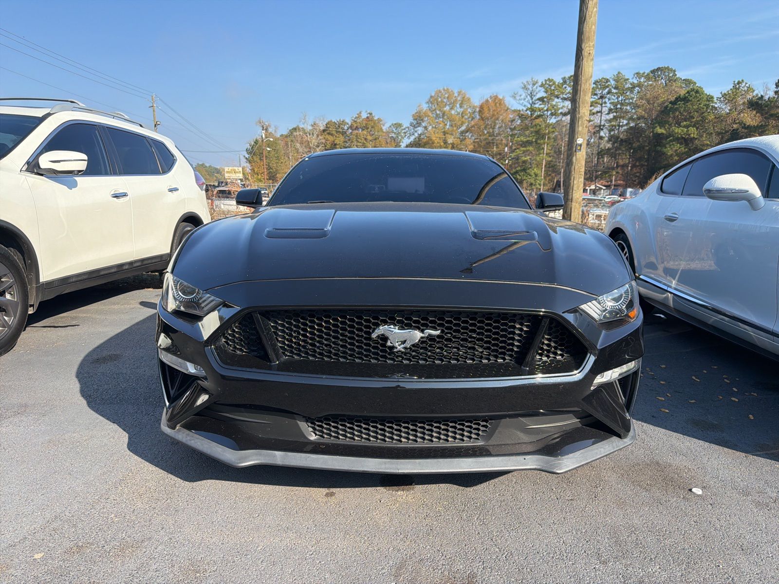 2019 Ford Mustang GT photo 2