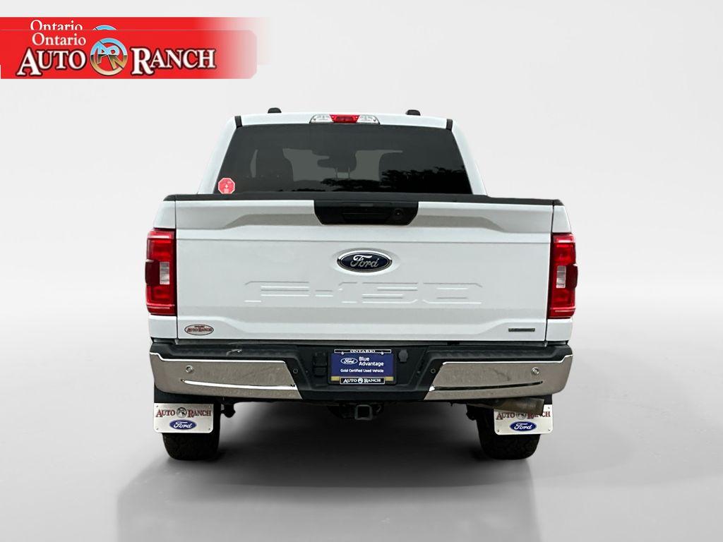 2023 Ford F-150 XLT photo 4