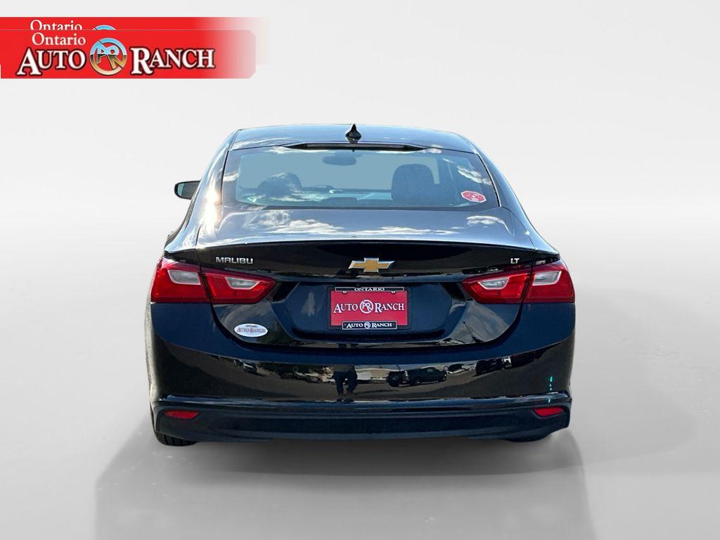 2024 Chevrolet Malibu 1LT photo 4