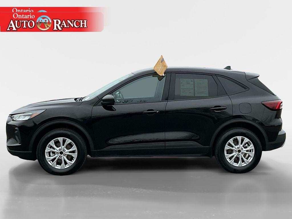 Used 2025 Ford Escape Active Sport Utility