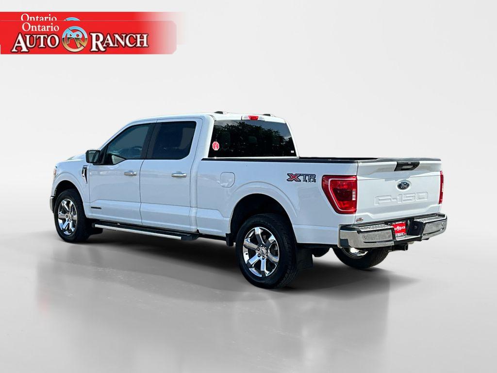 2023 Ford F-150 XLT photo 3