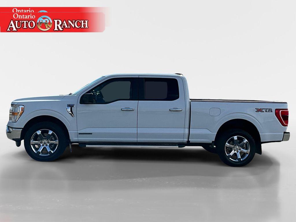 2023 Ford F-150 XLT photo 2