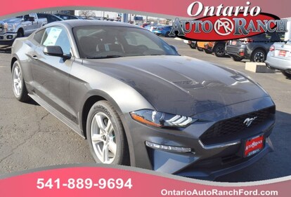 2019 Ford Mustang