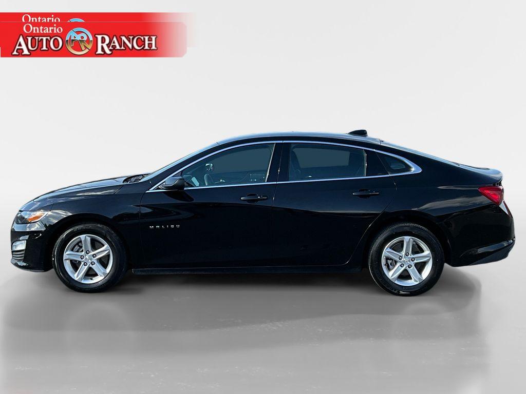 2024 Chevrolet Malibu 1LT photo 2