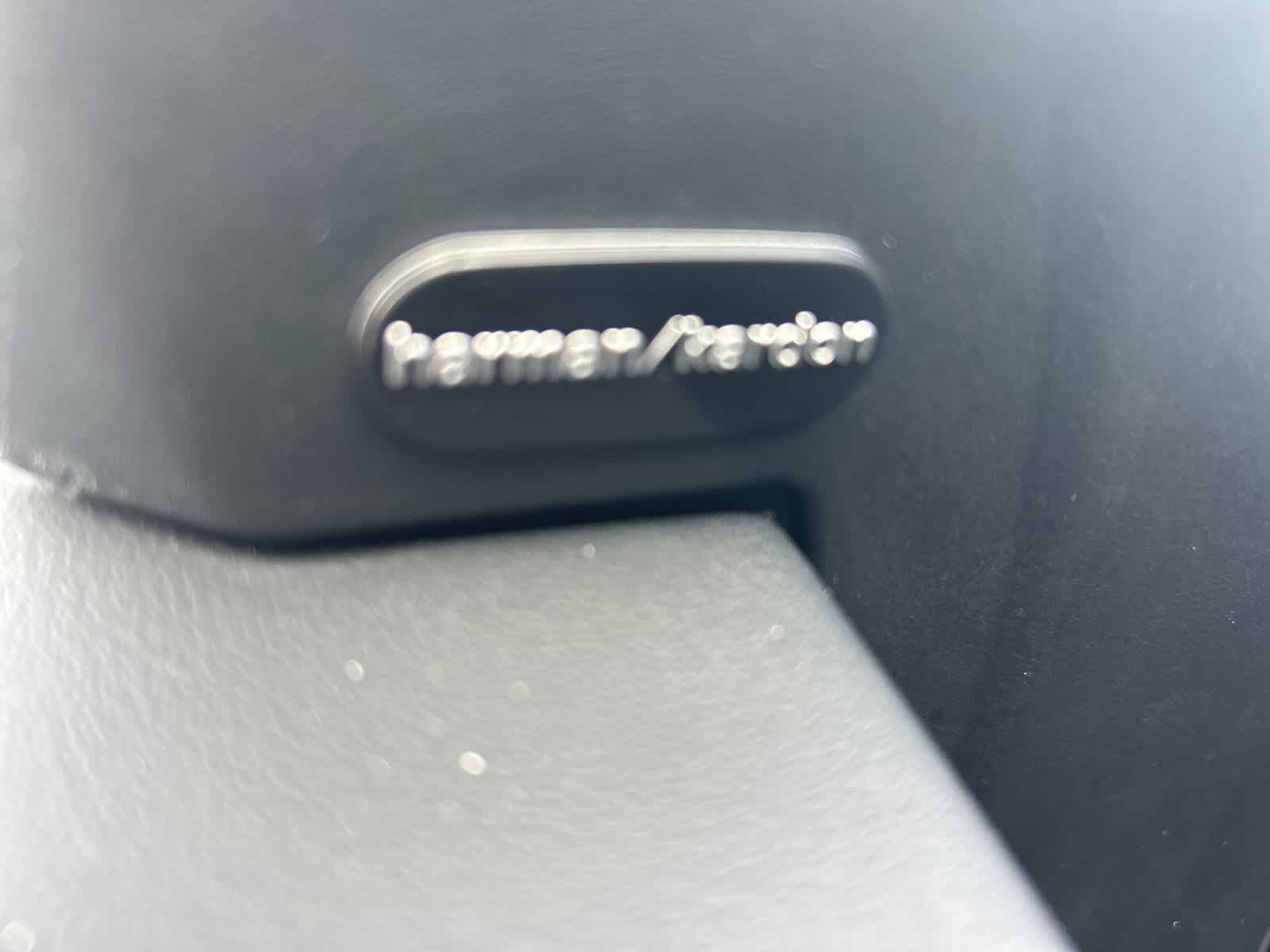 Thumbnail: 2019 Dodge Charger - 27