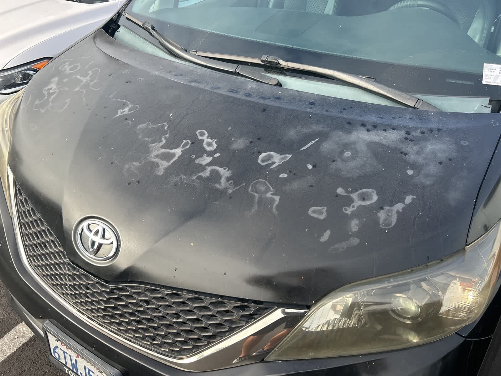 Thumbnail: 2011 Toyota Sienna - 3