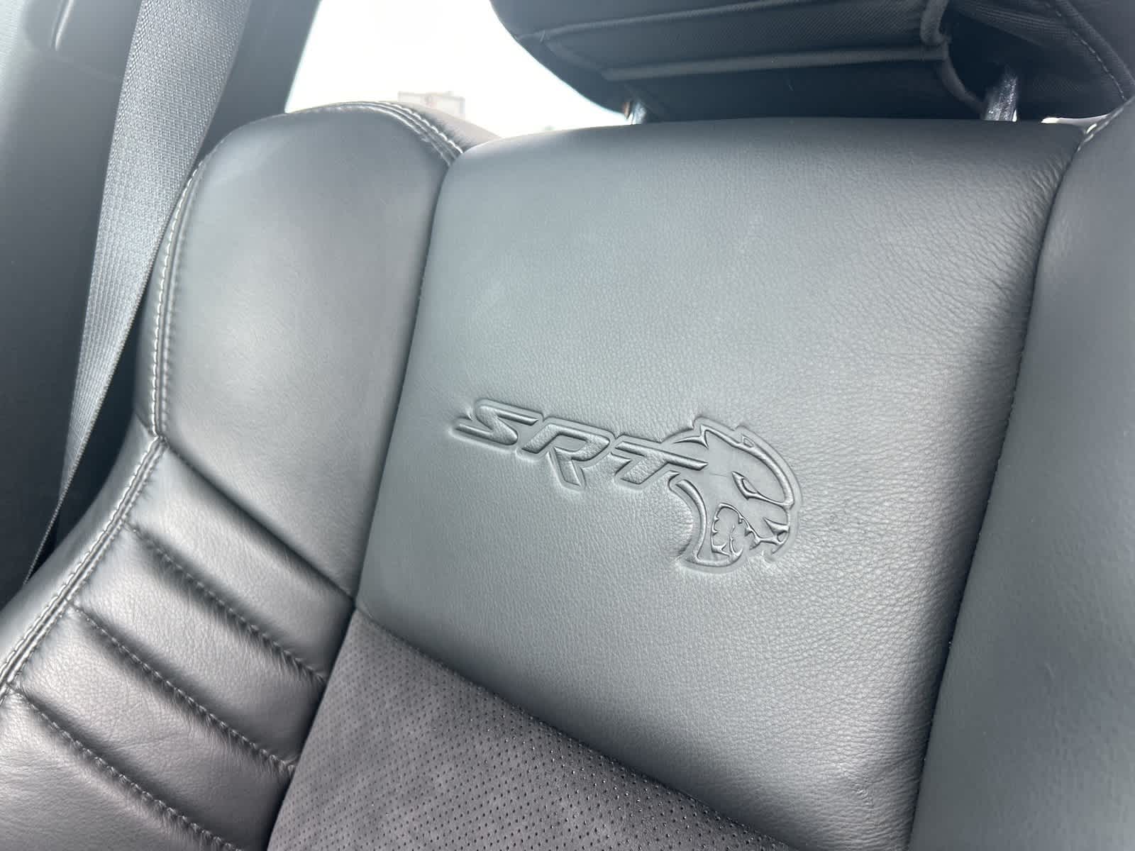 Thumbnail: 2019 Dodge Charger - 47