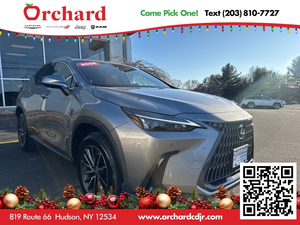 2025 Lexus NX 350's photo