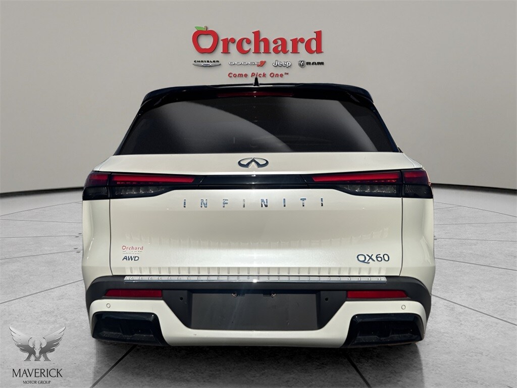 2023 Infiniti QX60 Luxe photo 4