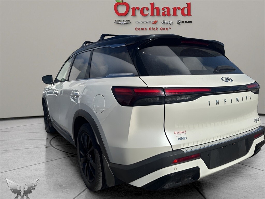 2023 Infiniti QX60 Luxe photo 3