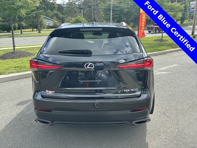 2019 Lexus NX 300 Luxury photo 4