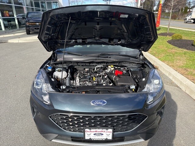 2022 Ford Escape SE photo 3