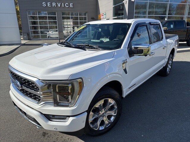2023 Ford F-150 Platinum photo 2