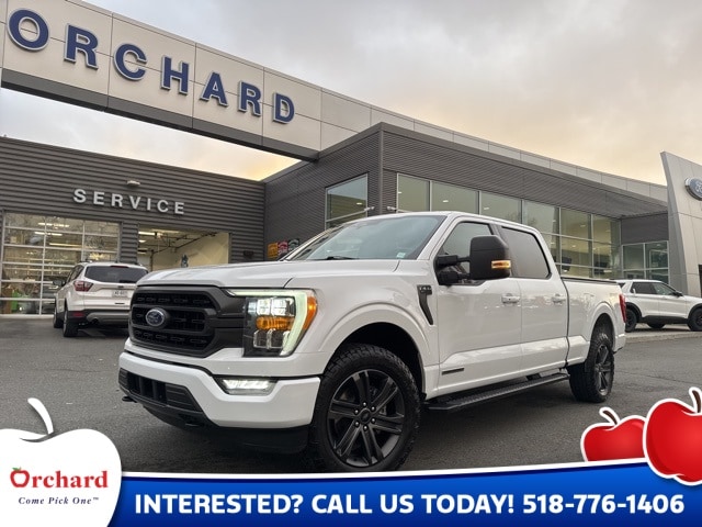 2022 Ford F-150 XLT's photo