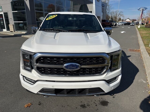 2023 Ford F-150 Platinum photo 3