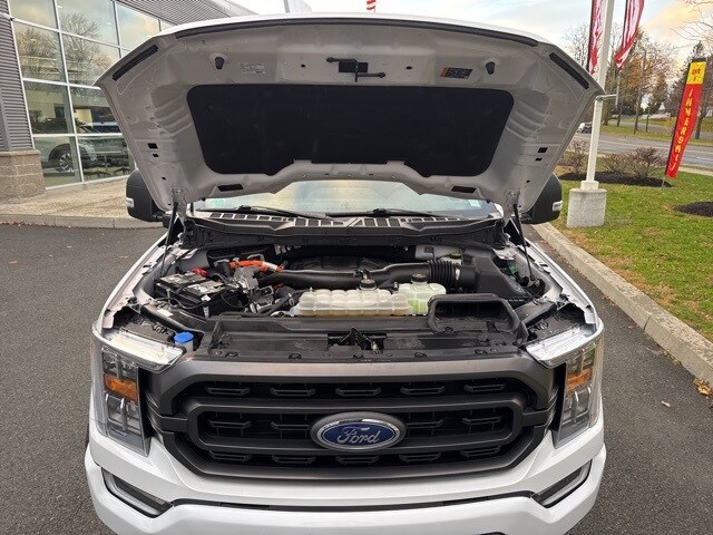 2022 Ford F-150 XLT photo 3