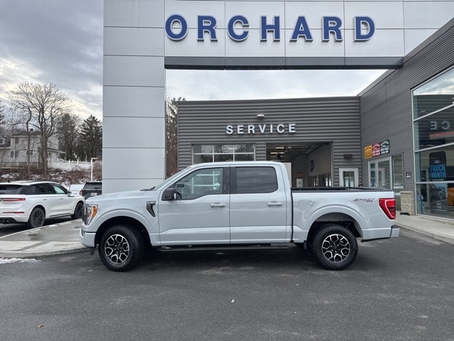 2023 Ford F-150 XLT photo 3