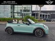 MINI Convertible