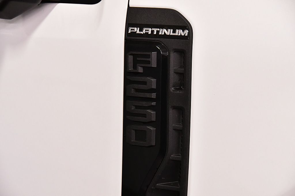 2025 Ford F-250 Super Duty Platinum - Photo 10