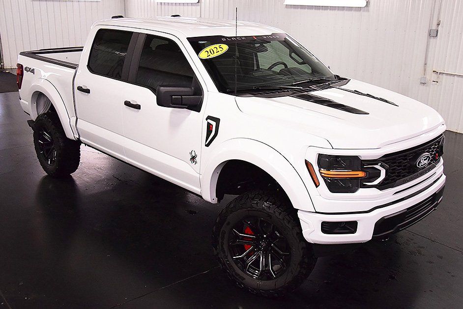 2025 Ford F-150 STX - Photo 10