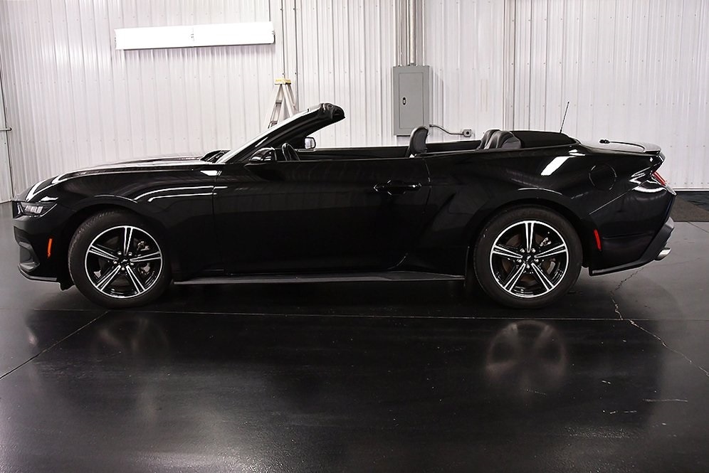 2025 Ford Mustang EcoBoost Premium photo 4