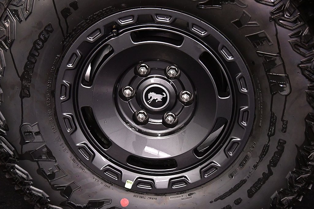 2025 Ford Bronco 4-Door Badlands - Photo 9