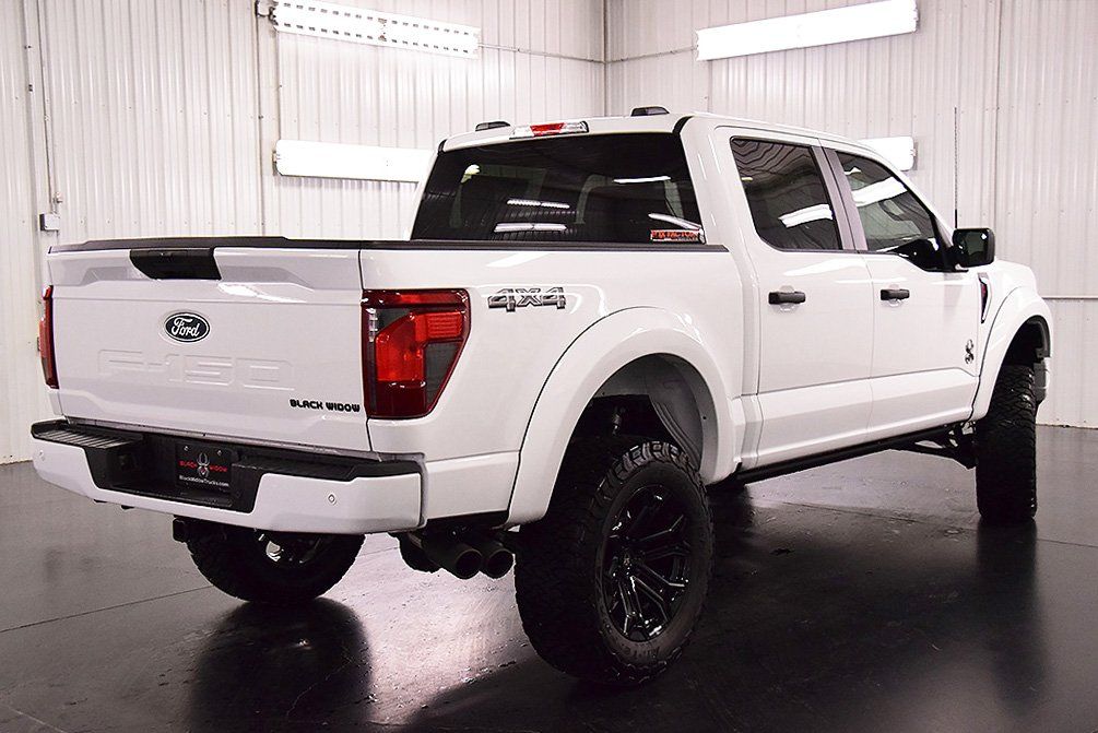 2025 Ford F-150 STX - Photo 8