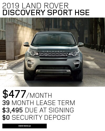 DISCO SPORT SPECIAL.png