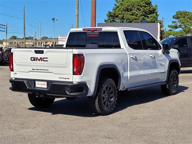 2024 Gmc Sierra 1500 AT4X photo 3