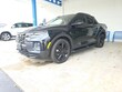  Hyundai Santa Cruz